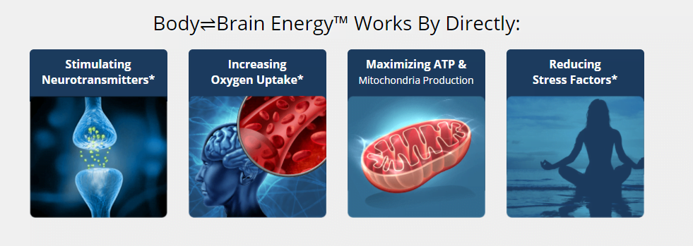 How HFL's Body Brain Energy works