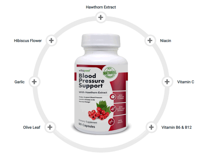 Blood Pressure Support Ingredients