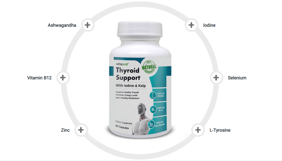 Thyroid Support Ingredients